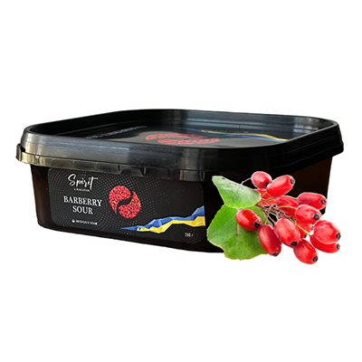 табак для кальяна Spirit x Bagator 200 г